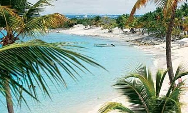 IMJ Travel & Services, LLC