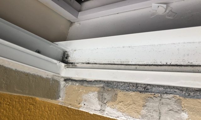 Integral Windstorm Products LLC