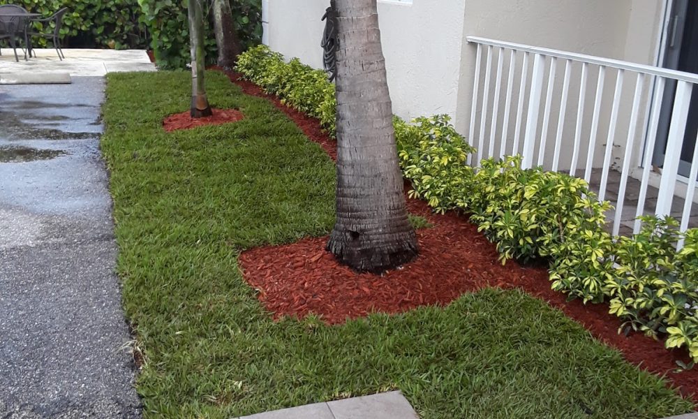 Jose Cruz Landscaping