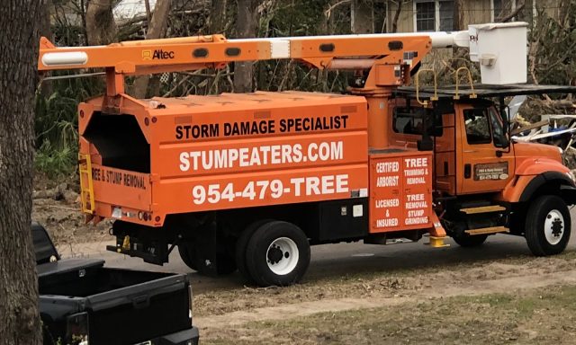 StumpEaters