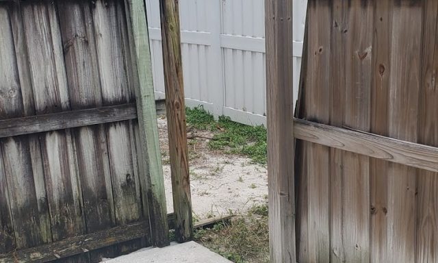 Termite Professionals