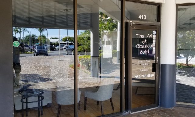 The Art of Classical Ballet