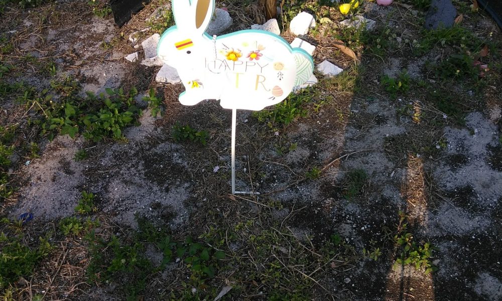 Valerie's Garden Designs