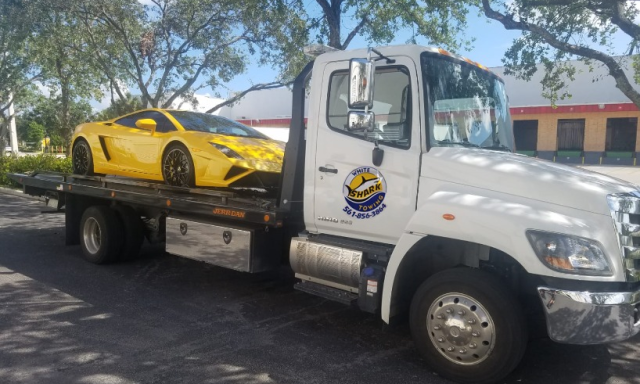 White Shark Towing Inc