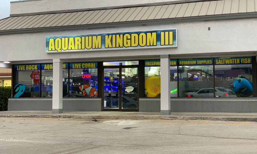 Aquarium Kingdom III