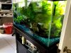Aquarium maintenance pros llc