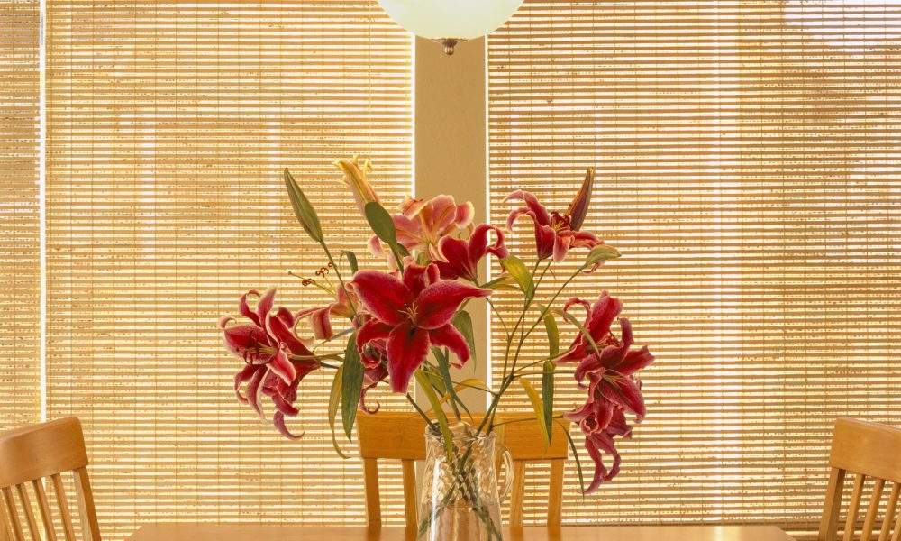 Automated Motorized Shades