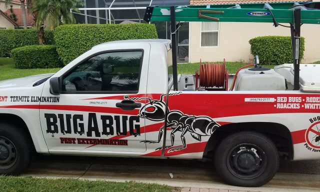 BUG A BUG PEST EXTERMINATION