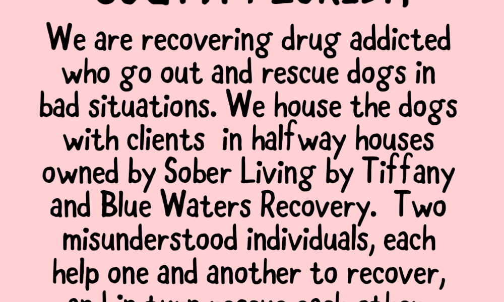 Blue Waters Dog Rescue