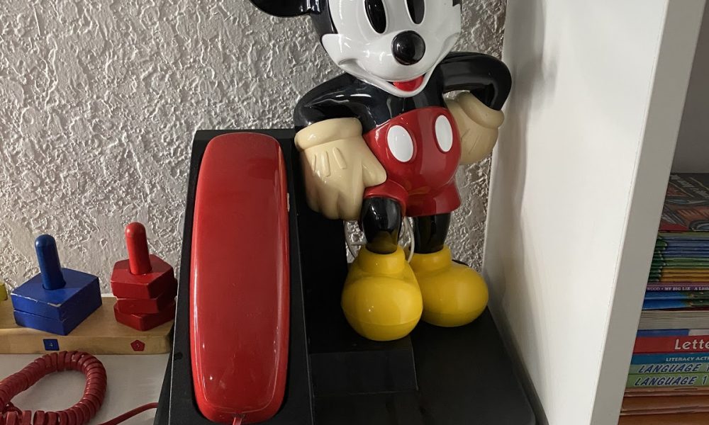 CLEVER KIDS LEARN PLAY LODGE LLC