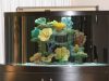 Contemporary Aquarium & Design