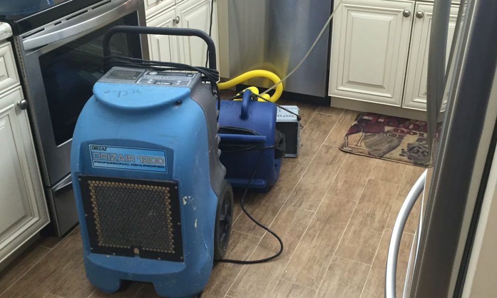 DrySteam Cleaning & Restoration