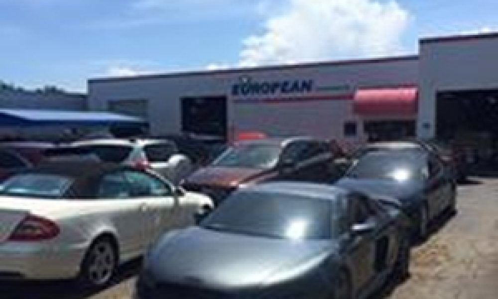European Paint & Body Inc.