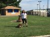 Harmony k9 training