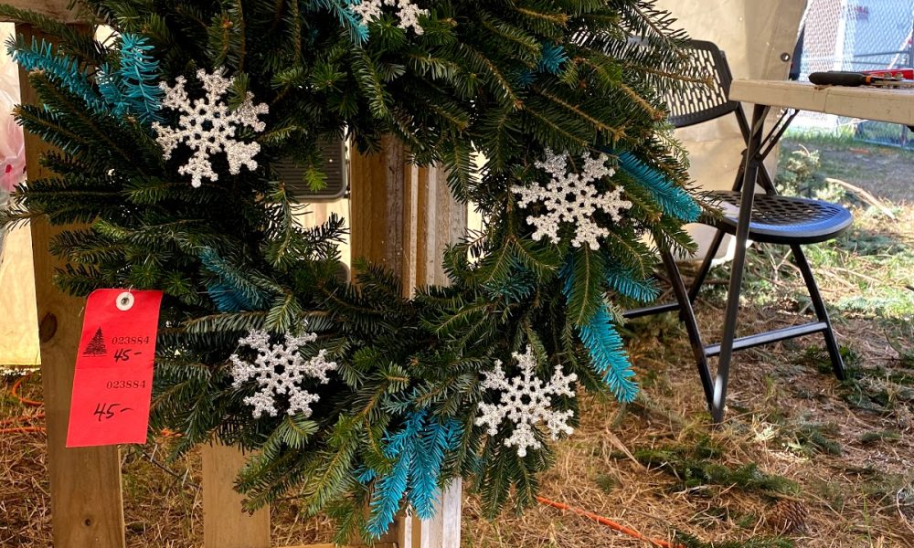 Hayes Farms Christmas Trees - Lauderdale-By-The-Sea