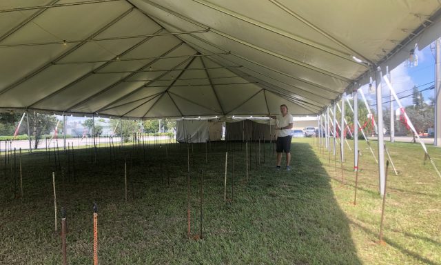 Hayes Farms Christmas Trees – Pompano Beach