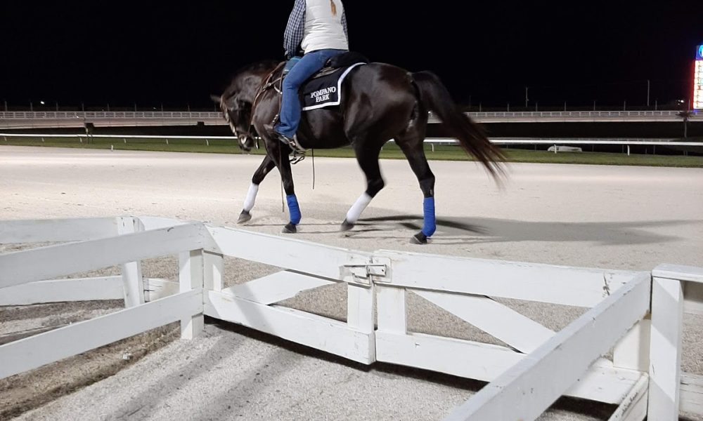 Isle Casino Pompano Park