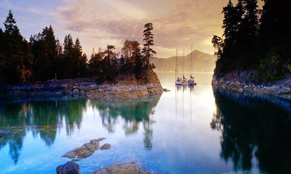 Joanne Williams Photography