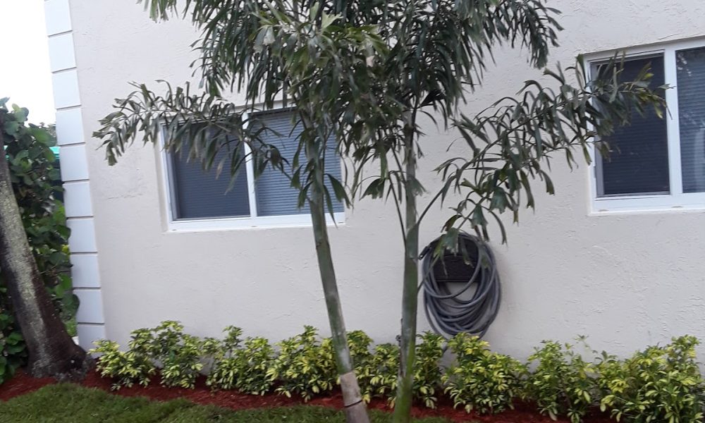 Jose Cruz Landscaping