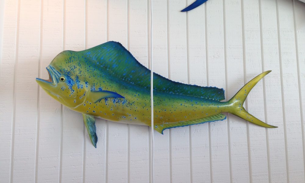 King Sailfish Mounts Inc