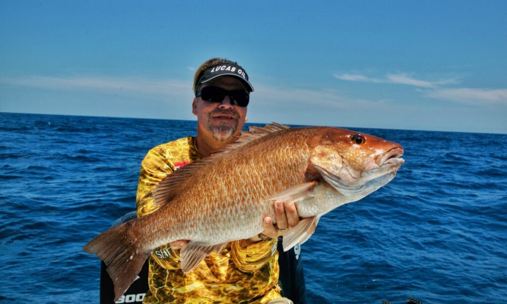 King Sailfish Mounts Inc