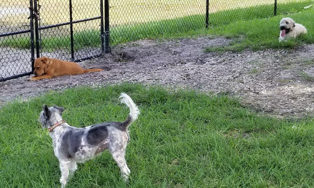 Pompano Beach Golf Shop