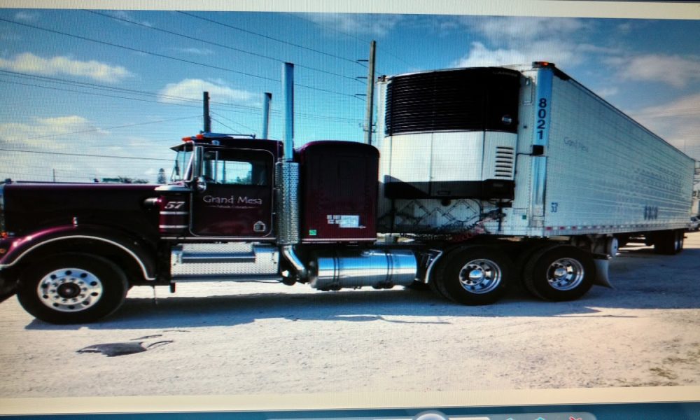 Pompano State Farmer's Market