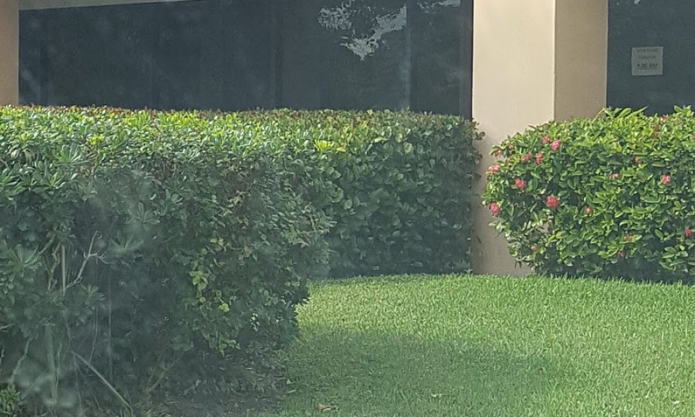 Randstad Manufacturing & Logistics