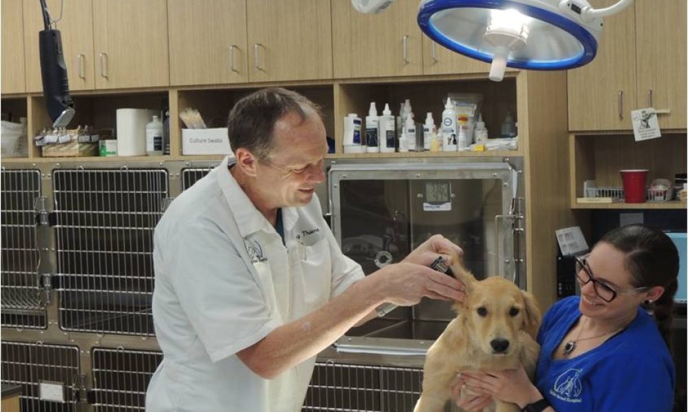 Seiler Animal Hospital