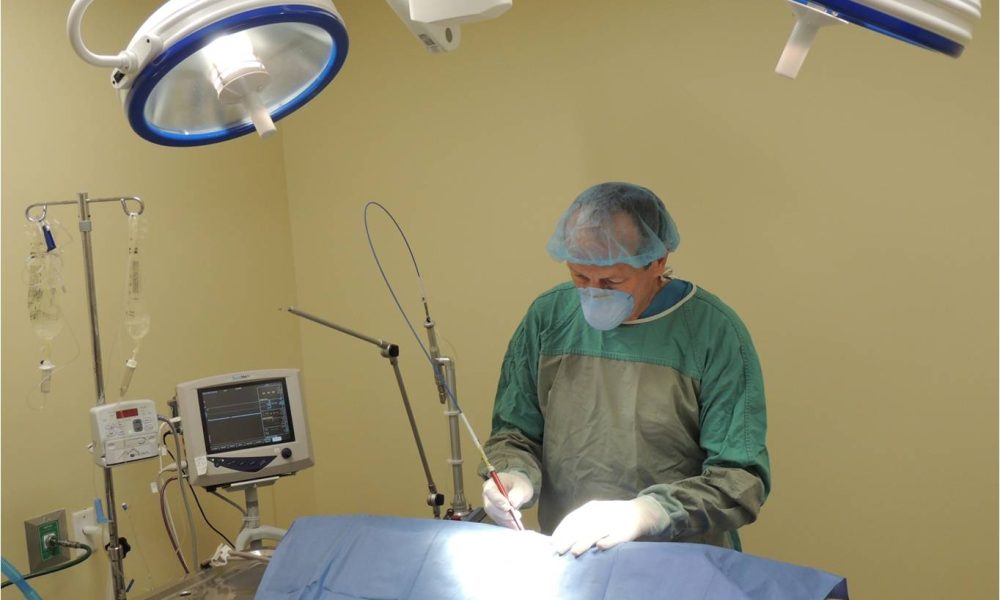 Seiler Animal Hospital