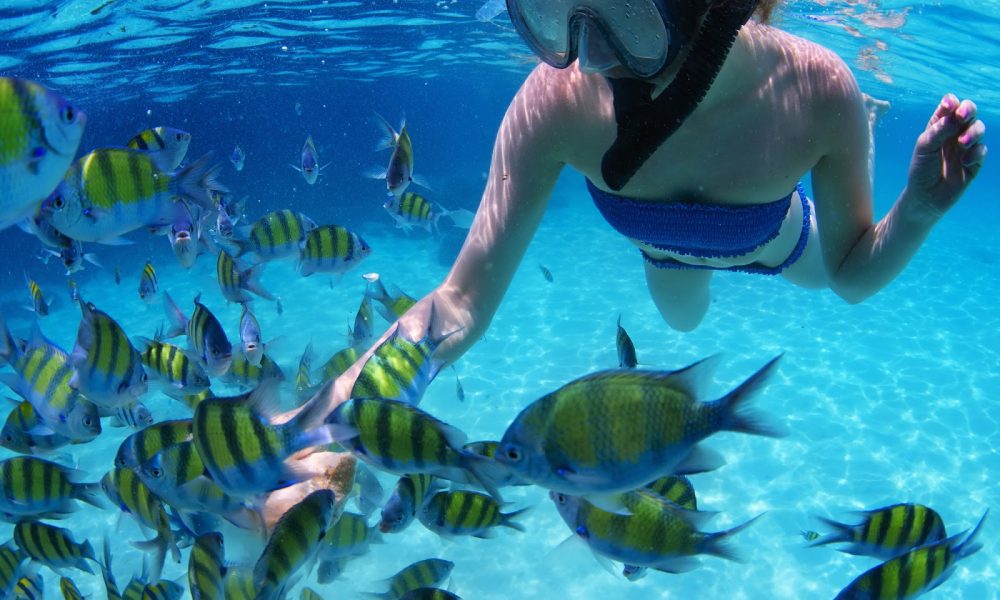 South Florida Boat Rental