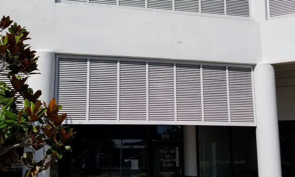 The Art of Classical Ballet