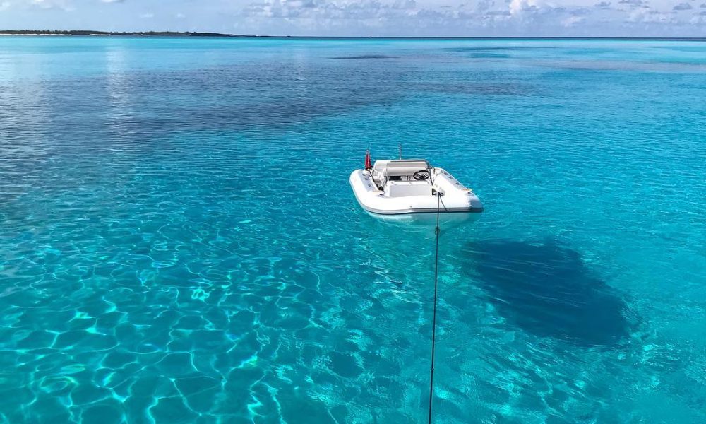 Williams Tenders USA, Inc