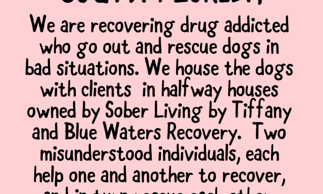 Blue Waters Dog Rescue