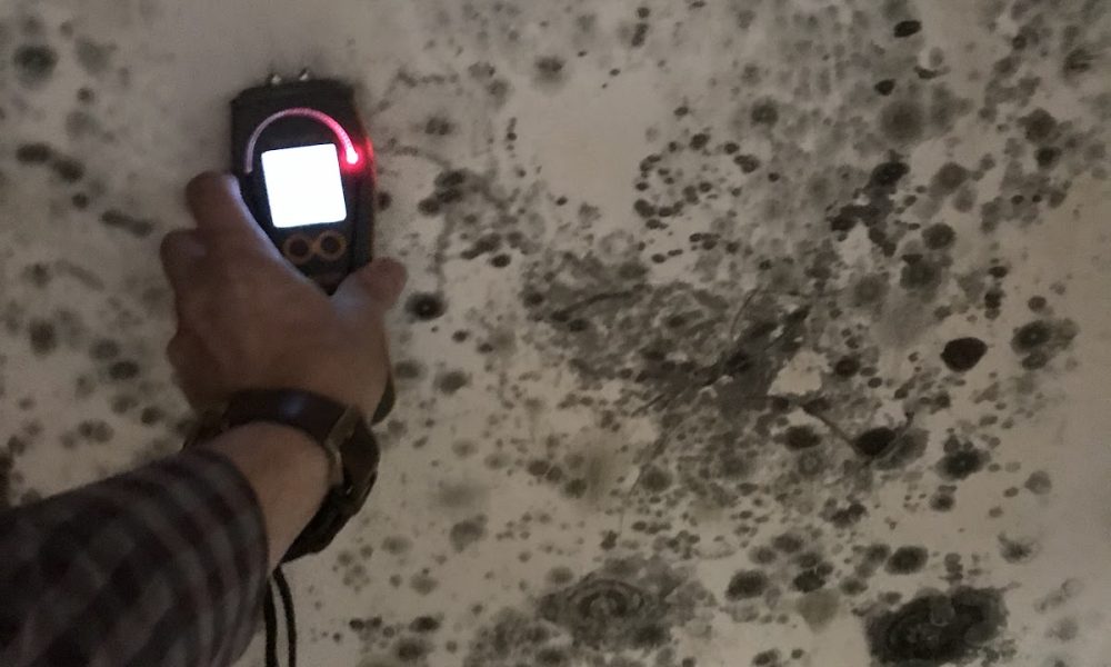 Environmental Testing Agency - Mold Inspection and Mold Testing