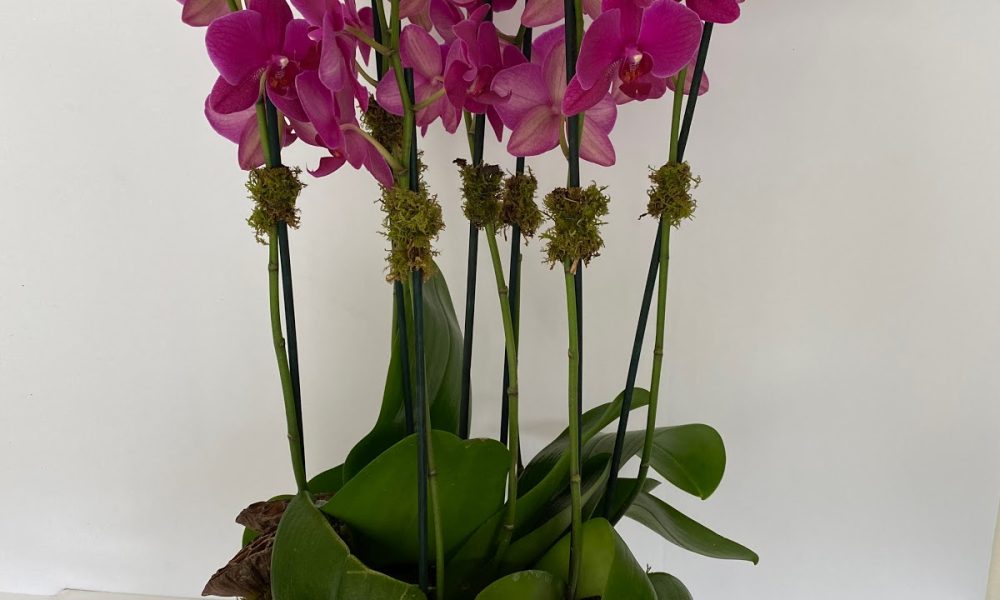 Floretta Florals LLC