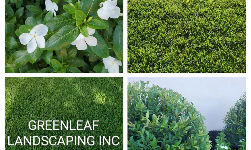 Greenleaf landscaping inc