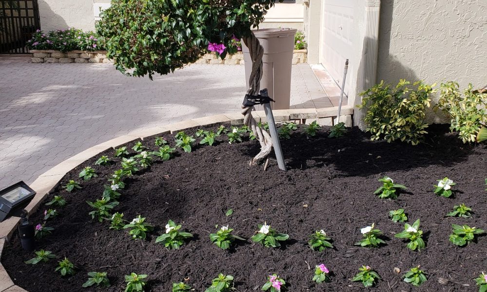 Jose Cruz Landscaping