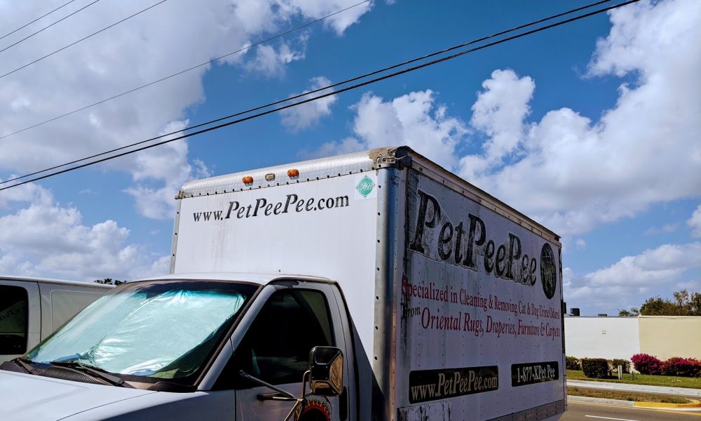 PetPeePee Oriental carpet urine odor removal