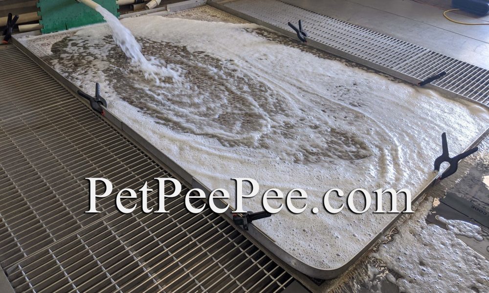 PetPeePee Oriental carpet urine odor removal