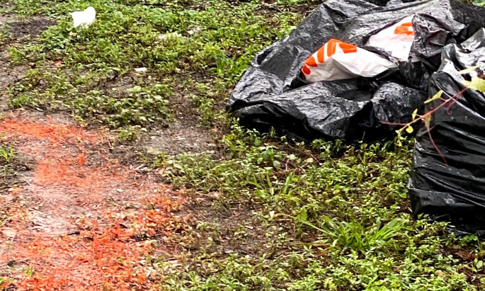 Ronald Lawn Services