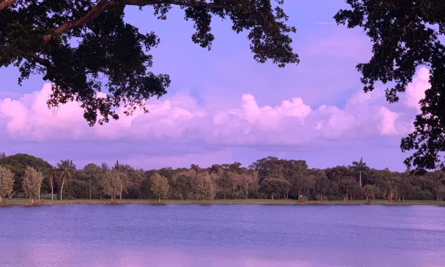 South Florida Real Estate & Development, Inc.