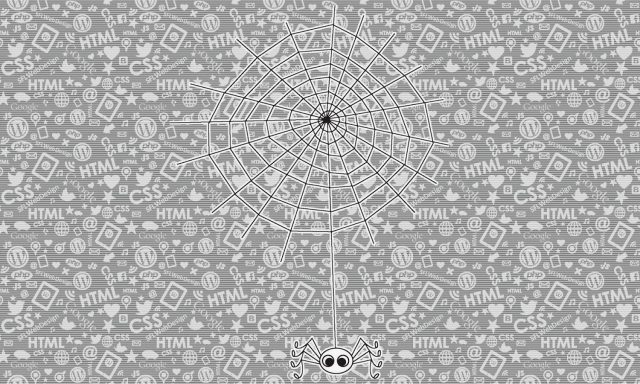 South Florida Web Design