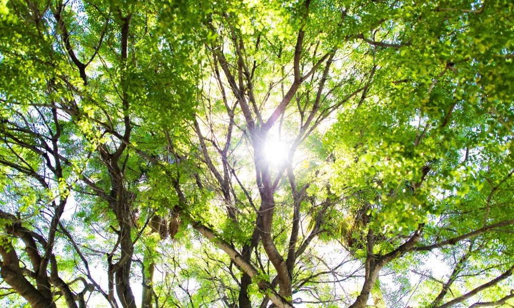 Temple Bat Yam of East Fort Lauderdale
