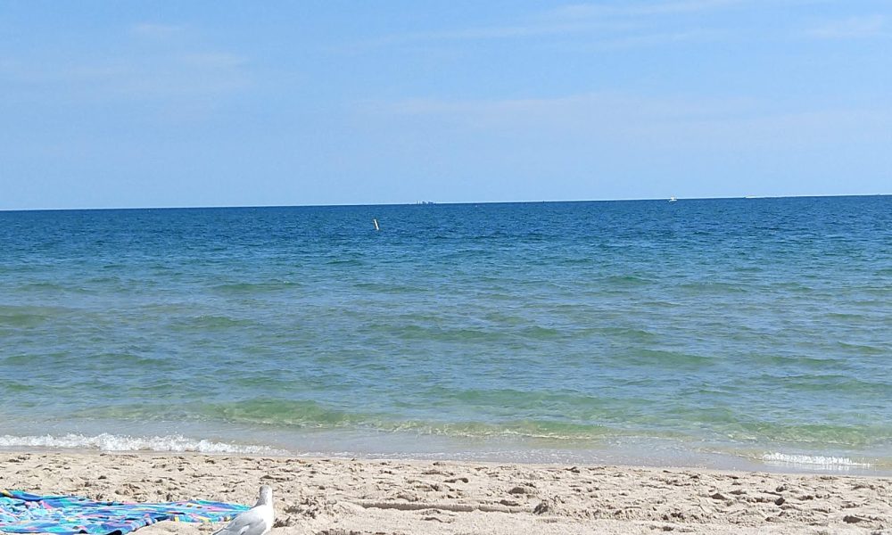 Town Hall Lauderdale-By-The-Sea