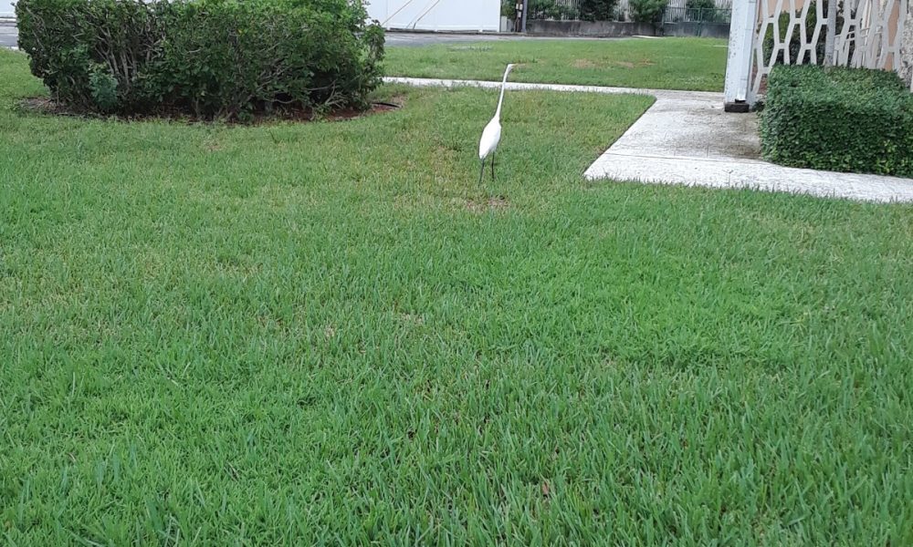 Trinity Christian School