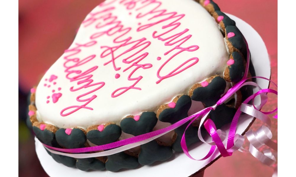 Woof Gang Bakery and Grooming Pompano Beach