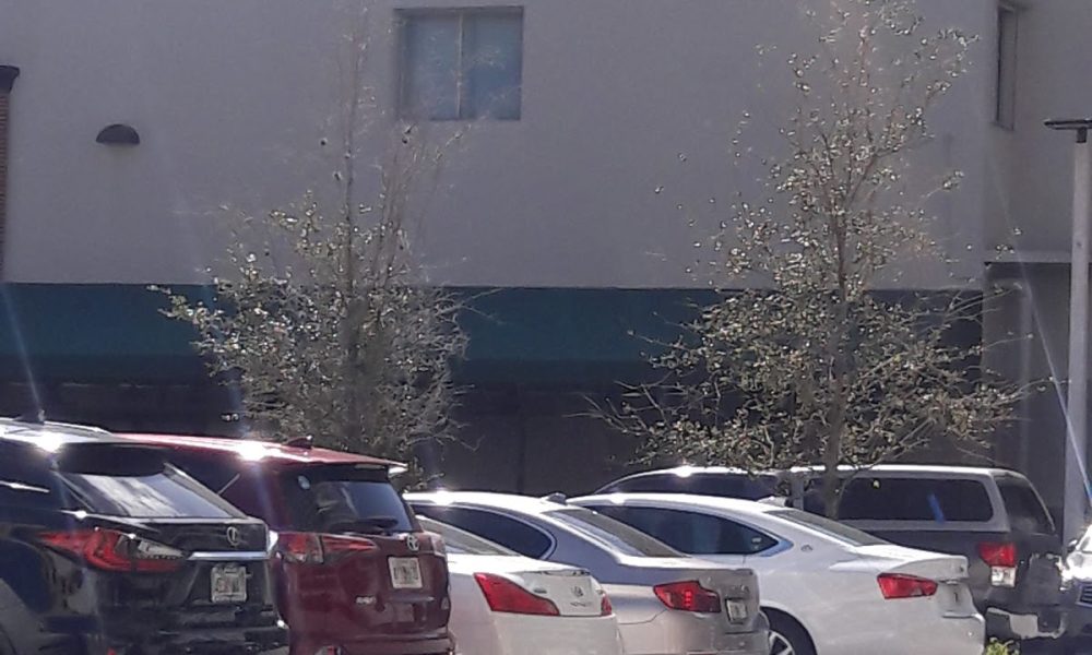 Asta Parking Inc