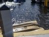 Atlantic Boat & Jet Ski Rentals