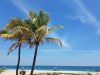 Ebb Tide Resort Oceanfront